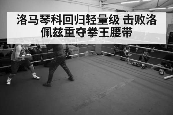 boxer training gym
